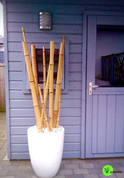 inspiracia bambusový plot